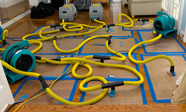 Professional Water Extraction technician working in Big Rock, IL